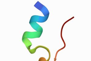 Ribbon diagram of the Trp cage 20 amino acid miniprotein